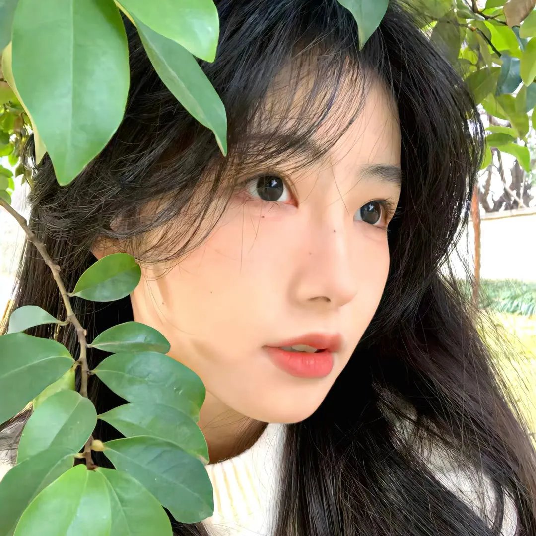 狂欢命案第二季